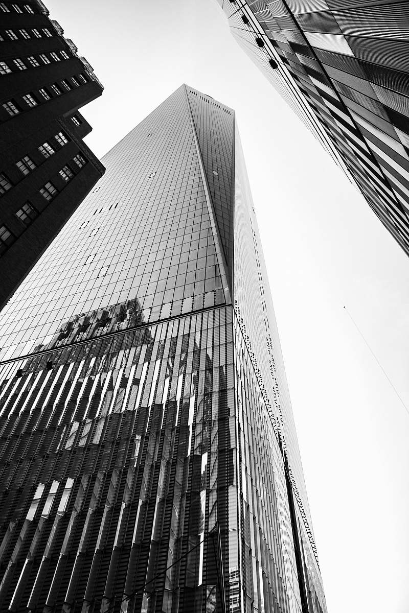 office building low-angle photography of curtain-wall high-rise building during daytime black-and-white